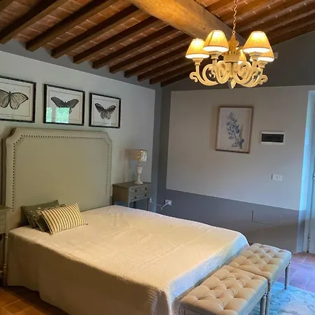 Il Borghetto Andrea Tafi *