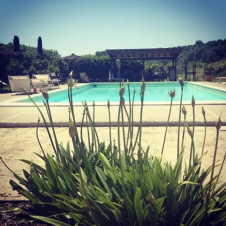 Il Borghetto Andrea Tafi Country house