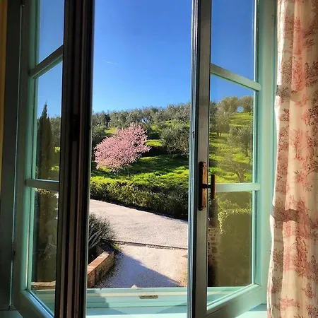 Il Borghetto Andrea Tafi Country house *