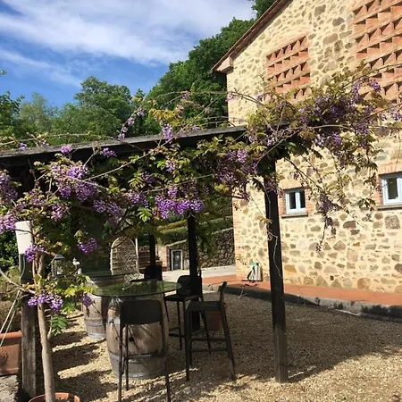 Il Borghetto Andrea Tafi Lamporecchio