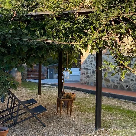 Il Borghetto Andrea Tafi