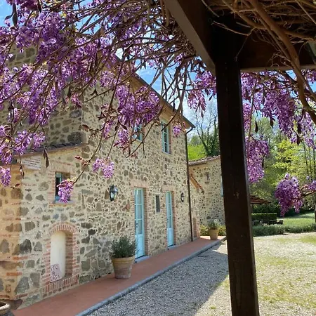Il Borghetto Andrea Tafi *