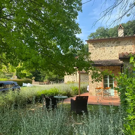 Il Borghetto Andrea Tafi * Lamporecchio