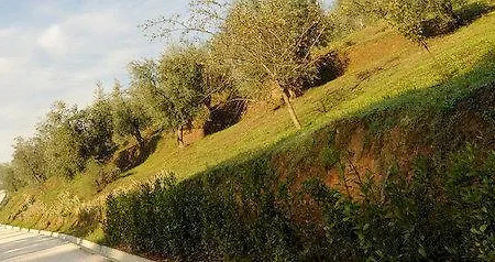 Il Borghetto Andrea Tafi *