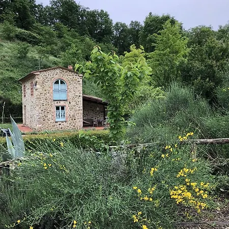 Il Borghetto Andrea Tafi *